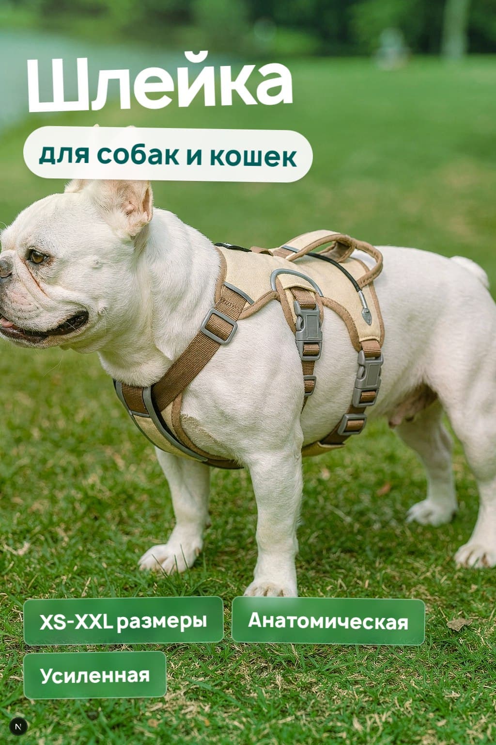 Пример карточки 3